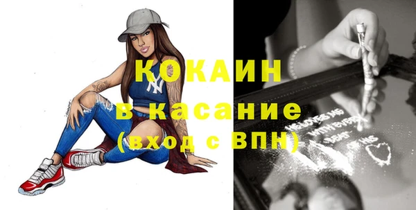 индика Алзамай