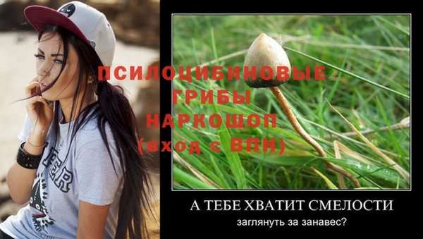 метадон Абинск