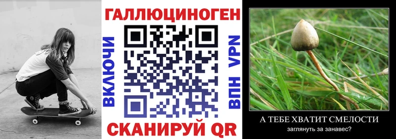 Галлюциногенные грибы Magic Shrooms  хочу   Карталы 